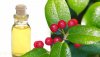 Natural-plant-extraction-Wintergreen-Winter-green-oil.jpeg