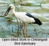 Chitrangudi_Bird_Sanctuary_Tamil_Nadu_1.jpg